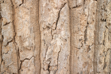 wood background