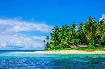 Tropical island landscape