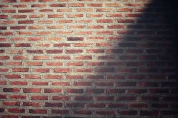Brick wall with shadow