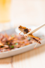 Grasshopper fried in chopstick
