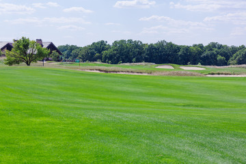 Fototapeta na wymiar Perfect wavy green ground on a golf course
