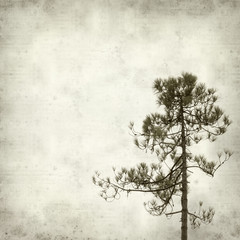 textured old paper background