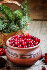 Fresh cranberries in a clay pot in a rustic style, selective foc