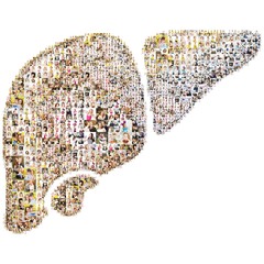 Liver icon. Formed out of peoples photography