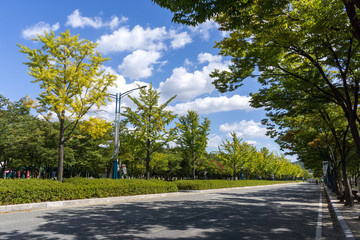 Incheon Grand Park early autumn