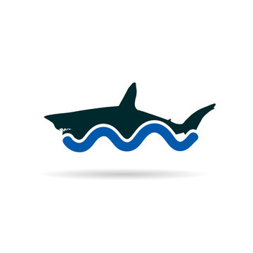 shark icon color vector