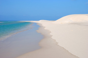 Fototapeta na wymiar Socotra island, Yemen