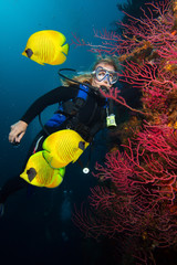 Woman scuba diver in the depth watching fish and coral reef with red coral