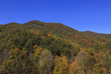 Fototapeta premium Mountain peak in North Carolina with fall foliage