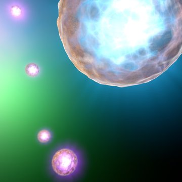 Cellula concepimento, ovulo, nucleo umano