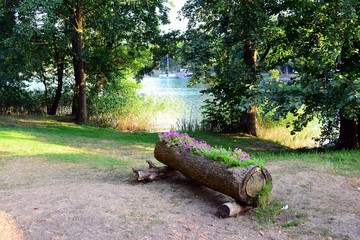Fototapeta premium Galves lake,Trakai old red bricks castle view