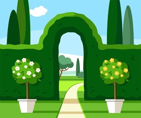 Garden, Park, green arch, trees are blooming, coloured illustrations. 