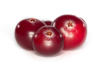 cranberry isolated