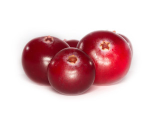 cranberry isolated