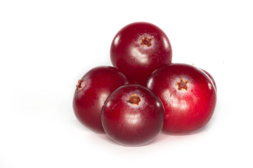 cranberry isolated