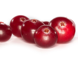 cranberry isolated