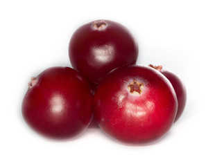 cranberry isolated