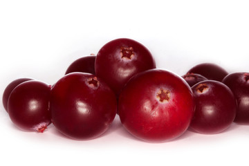 cranberry isolated