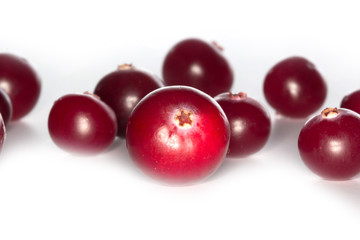 cranberry isolated