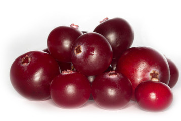 cranberry isolated