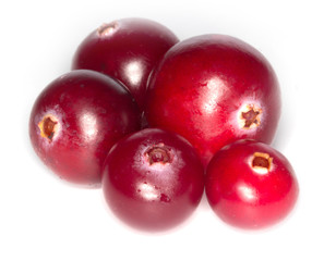 cranberry isolated