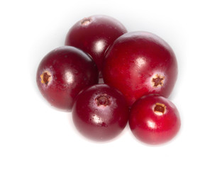 cranberry isolated