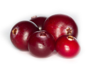 cranberry isolated
