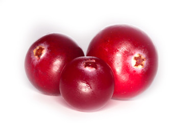 cranberry isolated