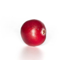 cranberry isolated