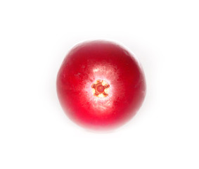 cranberry isolated