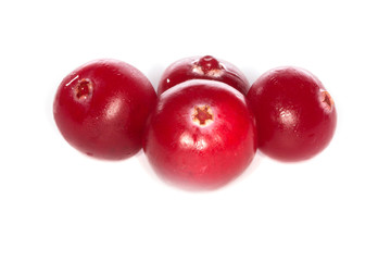 cranberry isolated