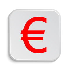Euro icon