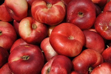 nectarine