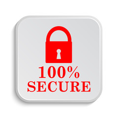 100 percent secure icon