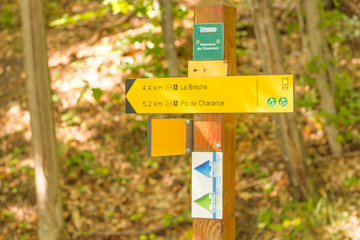 panels of forest road management