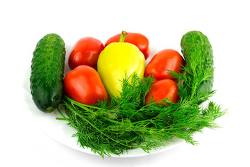 Vegetable: tomato, cucumber, pepper dill isolated on white