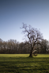 Park maksimir in zagreb croatia 