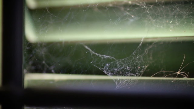 Spider web in front of abandoned house window