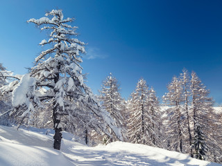 Winter landscape near Vogel ski center in mountains Julian Alps