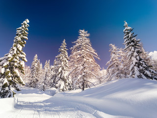 Winter landscape near Vogel ski center in mountains Julian Alps