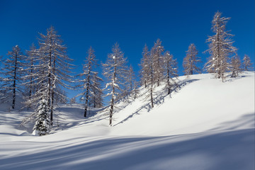 Winter landscape near Vogel ski center in mountains Julian Alps