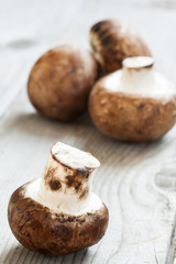 mushrooms