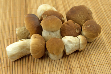 Steinpilze