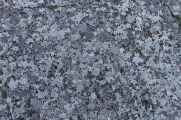 Surface of a granite stone