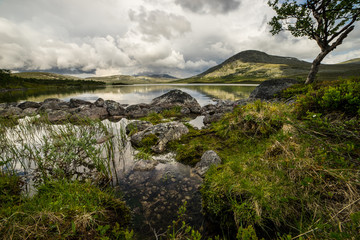 Fototapeta na wymiar Rønsjøen