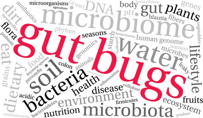 Gut Bugs Word Cloud On a White Background. 