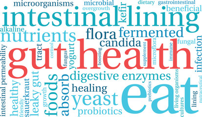 Gut Health Word Cloud On a White Background. 