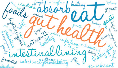 Gut Health Word Cloud On a White Background. 