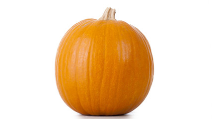 Pumpkin on  white background 