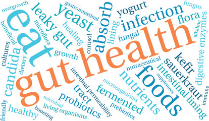 Obraz premium Gut Health Word Cloud On a White Background. 